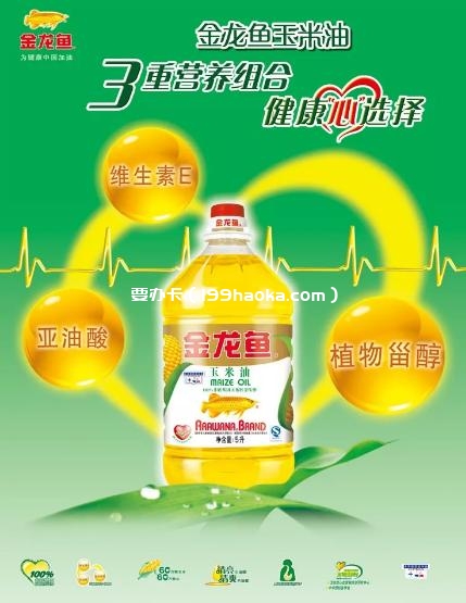 金龙鱼食用油一桶