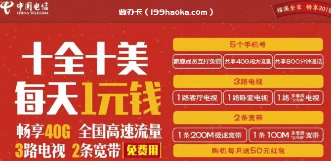 十全十美199畅享套餐