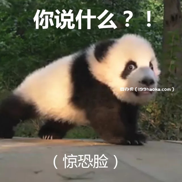 熊猫表情