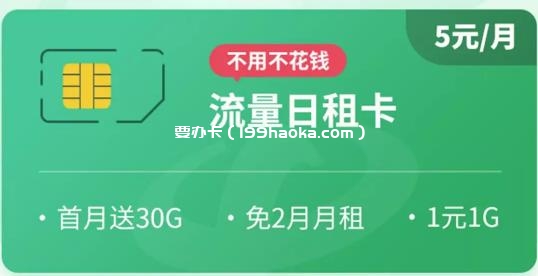 电信日租卡