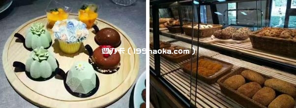 美食品鉴派对